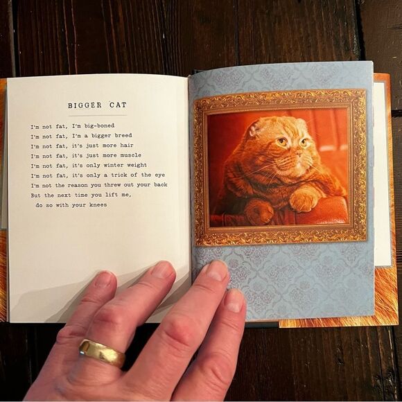 “I Could Pee on This and Other Poems by Cats” - Picture 4 of 6